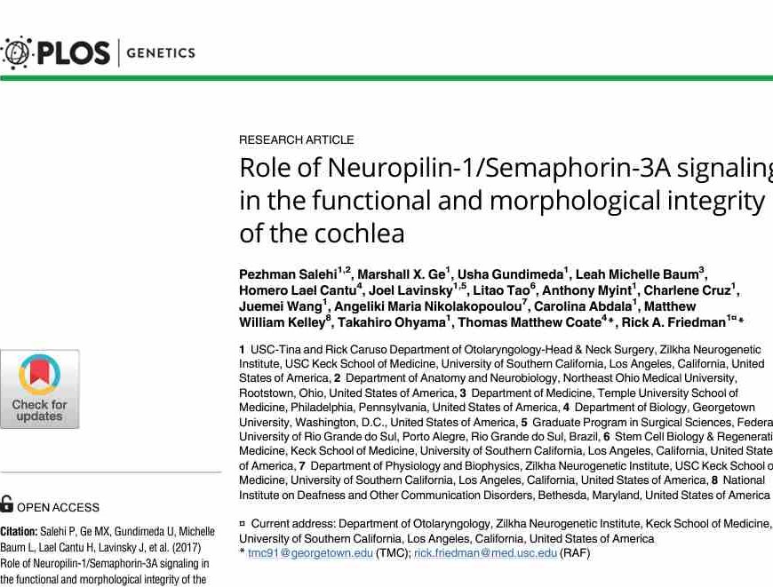 Papel da sinalização da Neuropilina-1/Semaforina-3A na integridade funcional e morfológica da cóclea