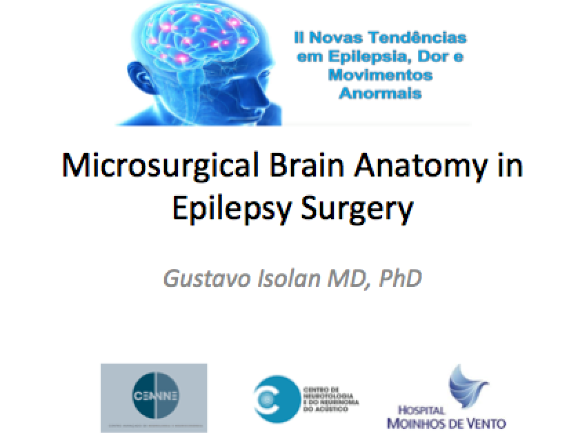 Anatomia Microcirúrgica e Cirurgia da Epilepsia é tema de Palestra em São Paulo
